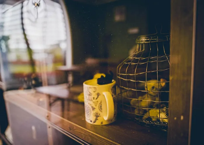 Where Past Meets Present On Antique Street Apartment